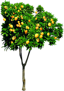 Photoshop制作時尚大氣的新鮮果汁海報