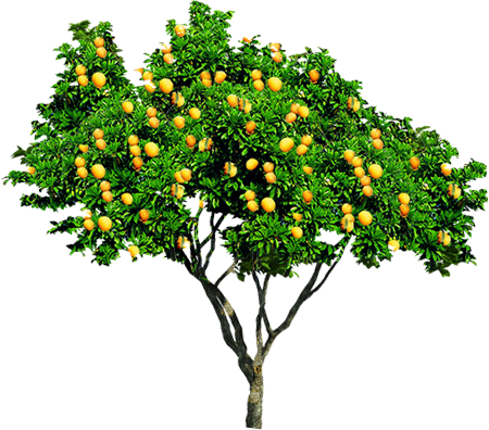 Photoshop制作時尚大氣的新鮮果汁海報