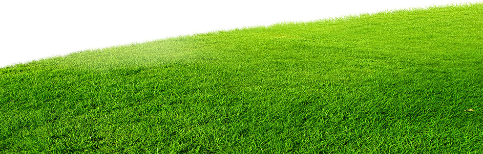 Photoshop制作時尚大氣的新鮮果汁海報