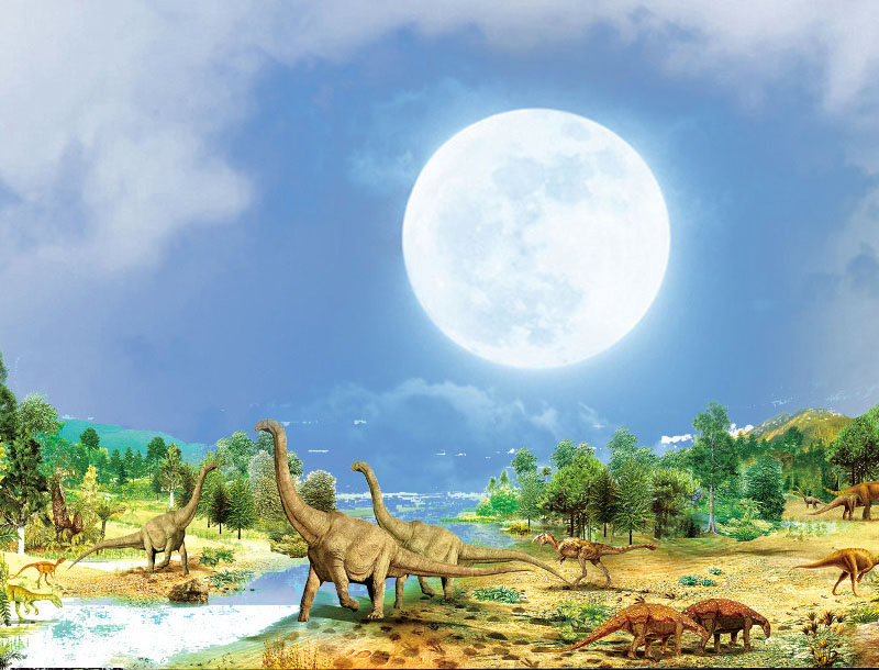 Photoshop�ϳɴ��Ŀ����r����������