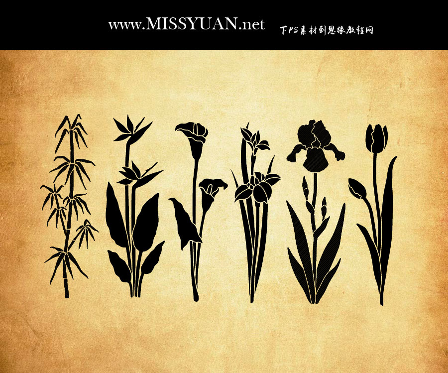 ʸ���L(f��ng)�񻨻ܺ�����PS�Pˢ