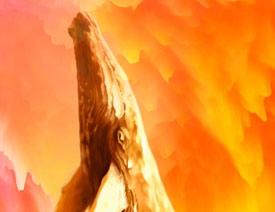 Photoshop����3D���������Ųʄ�(chu��ng)��ĺ���(b��o)