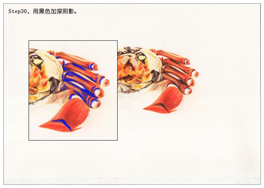 ��ɫ�U�P��֮���L��ʳ���lз