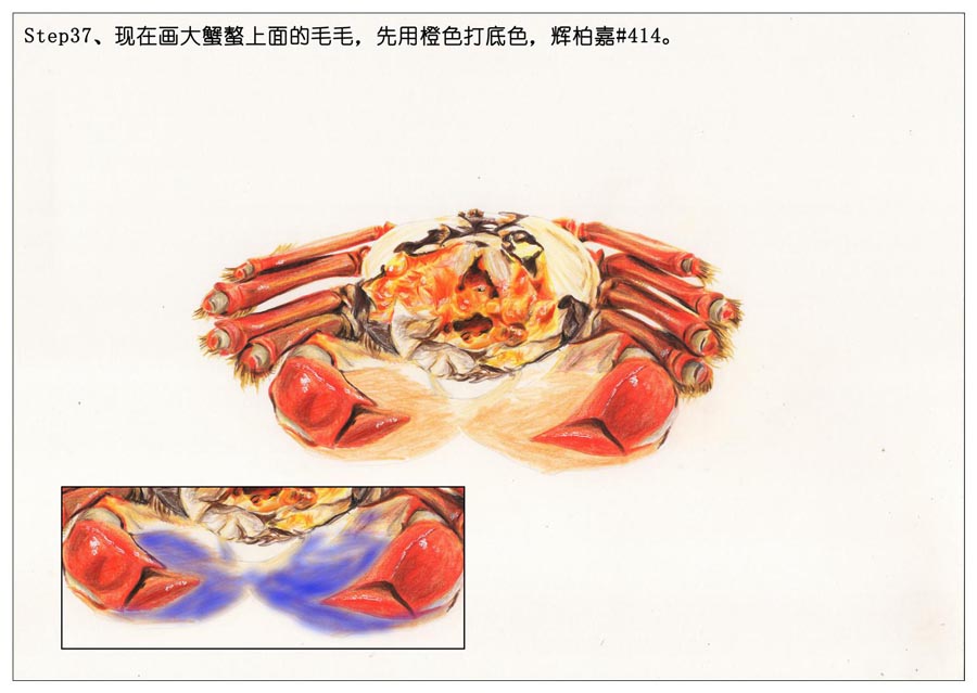 ��ɫ�U�P��֮���L��ʳ���lз