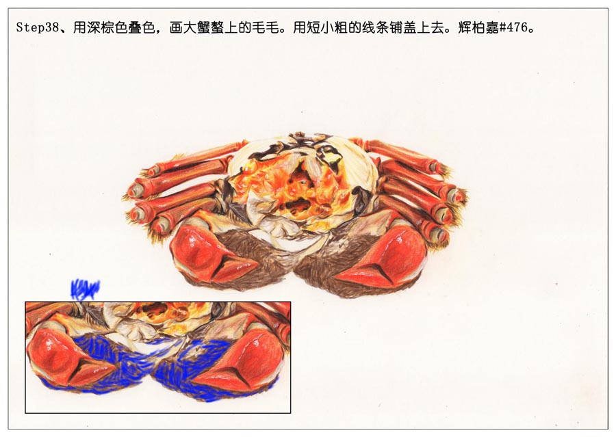 ��ɫ�U�P��֮���L��ʳ���lз