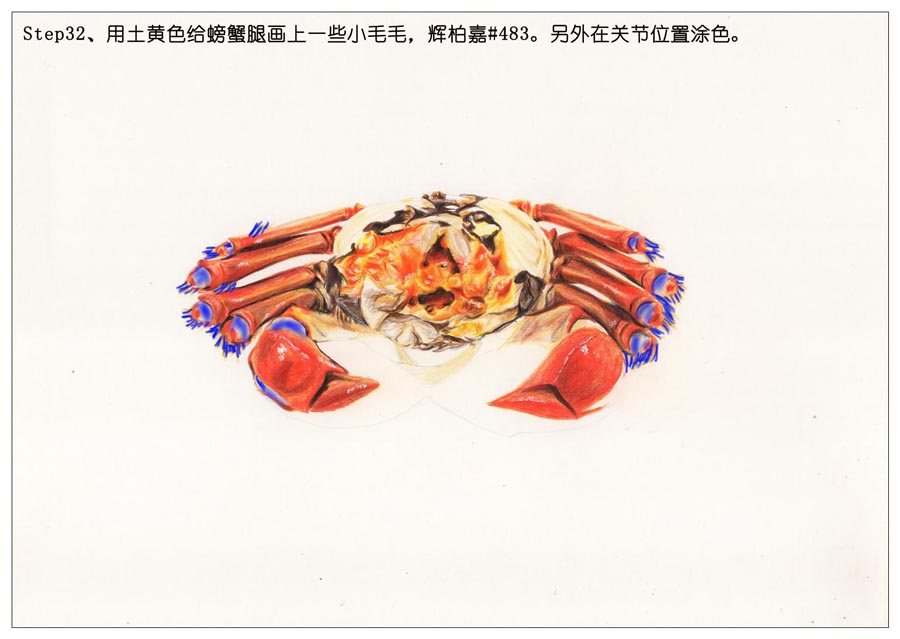 ��ɫ�U�P��֮���L��ʳ���lз