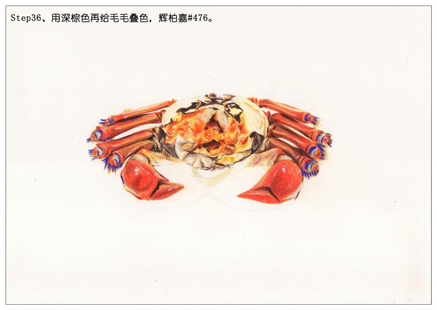 ��ɫ�U�P��֮���L��ʳ���lз