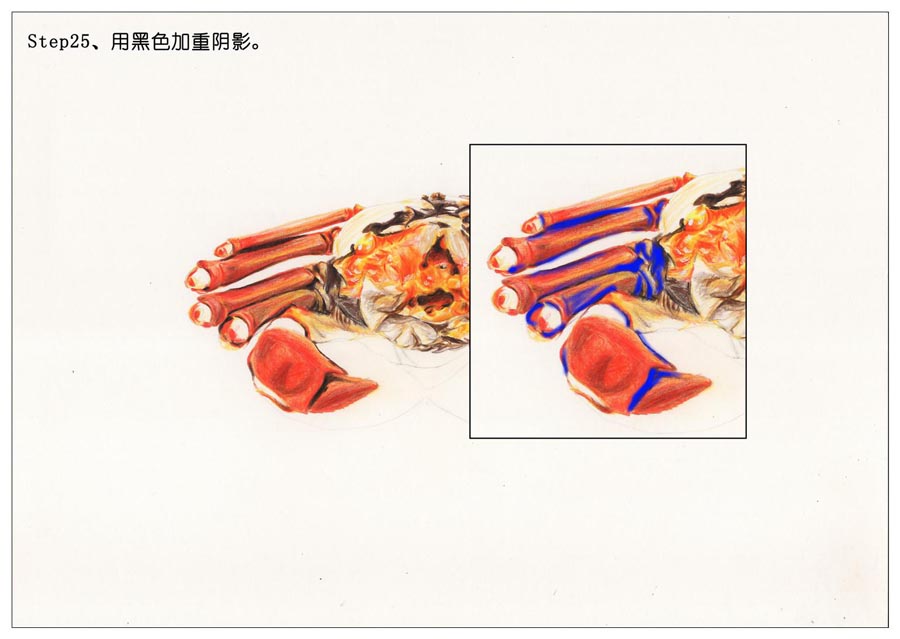 ��ɫ�U�P��֮���L��ʳ���lз