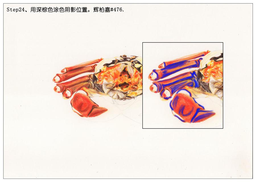 ��ɫ�U�P��֮���L��ʳ���lз