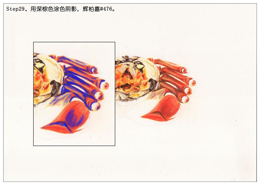 ��ɫ�U�P��֮���L��ʳ���lз