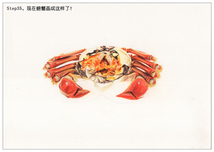 ��ɫ�U�P��֮���L��ʳ���lз