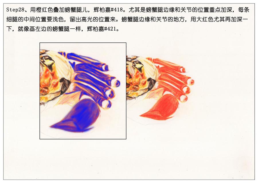 ��ɫ�U�P��֮���L��ʳ���lз