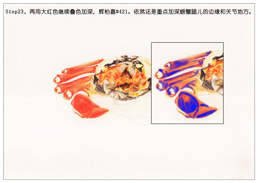 ��ɫ�U�P��֮���L��ʳ���lз