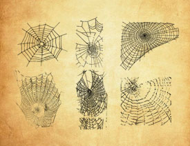 �ֲ���֩��W(w��ng)PS�Pˢ