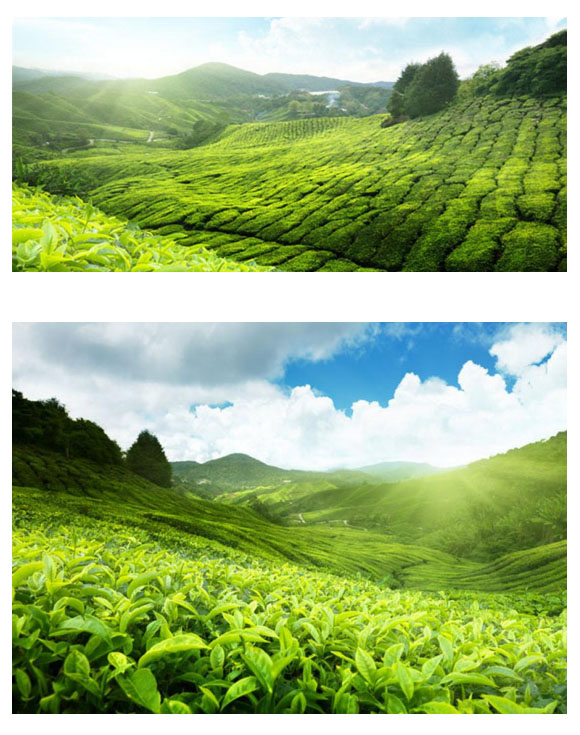 Photoshop�OӋ�Դ���Ȼ�����}�Ĳ��~����