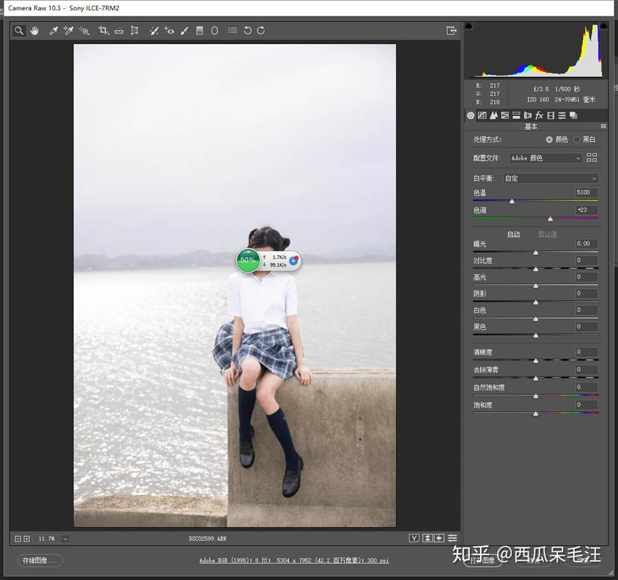 Photoshop調出外景少女照片淡雅小清新效果