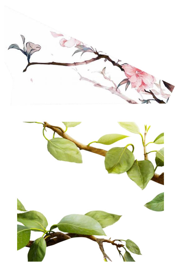 Photoshop�OӋ�Ї��L���~��������