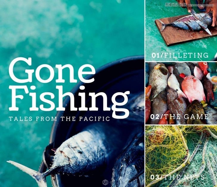 5個網格設計元素的創意設計理念