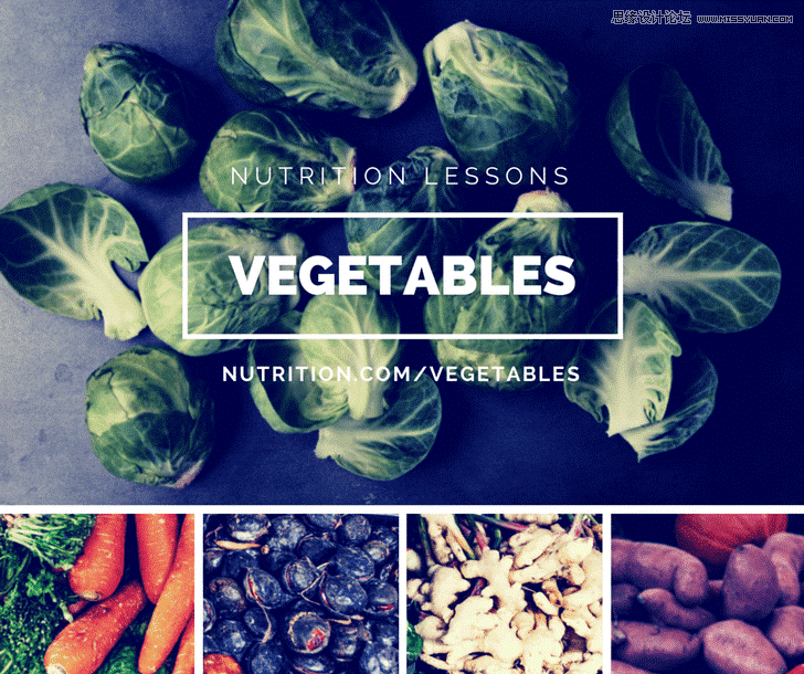 5個網格設計元素的創意設計理念