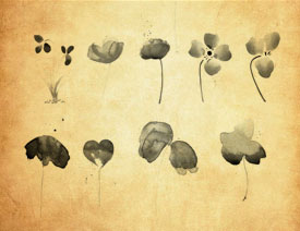 ˮ�����~�ݺ�ֲ��PS�Pˢ