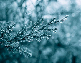 Photoshop�����{��Ψ���L����{ɫˇ�gЧ��