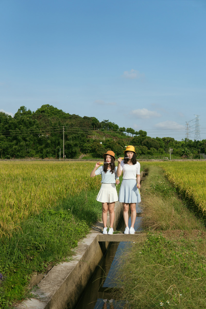 ���x�|���p��������ڵĔzӰ�̳�