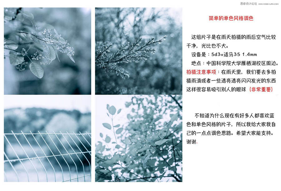 Photoshop�����{(di��o)��Ψ���L����{ɫˇ�g(sh��)Ч��