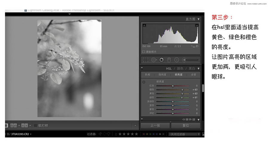 Photoshop�����{��Ψ���L����{ɫˇ�gЧ��