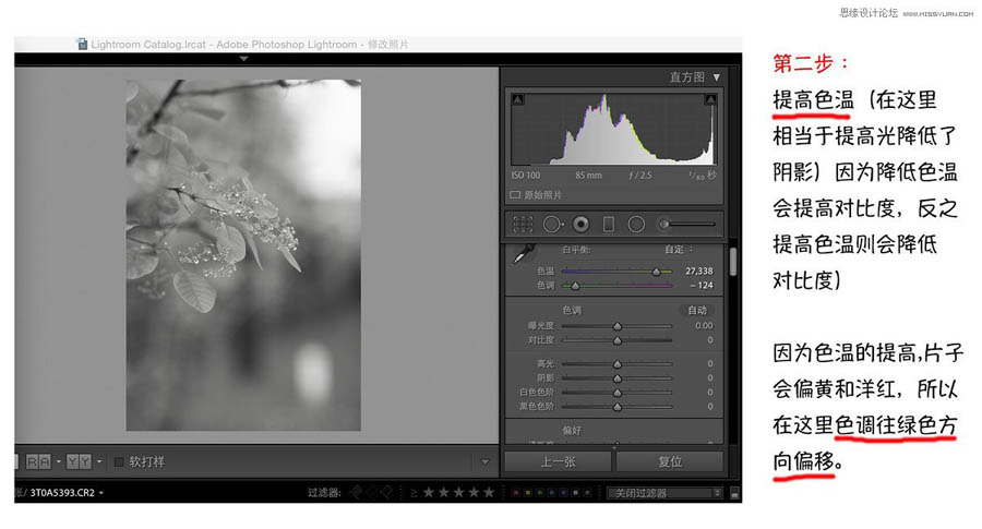 Photoshop�����{(di��o)��Ψ���L����{ɫˇ�g(sh��)Ч��