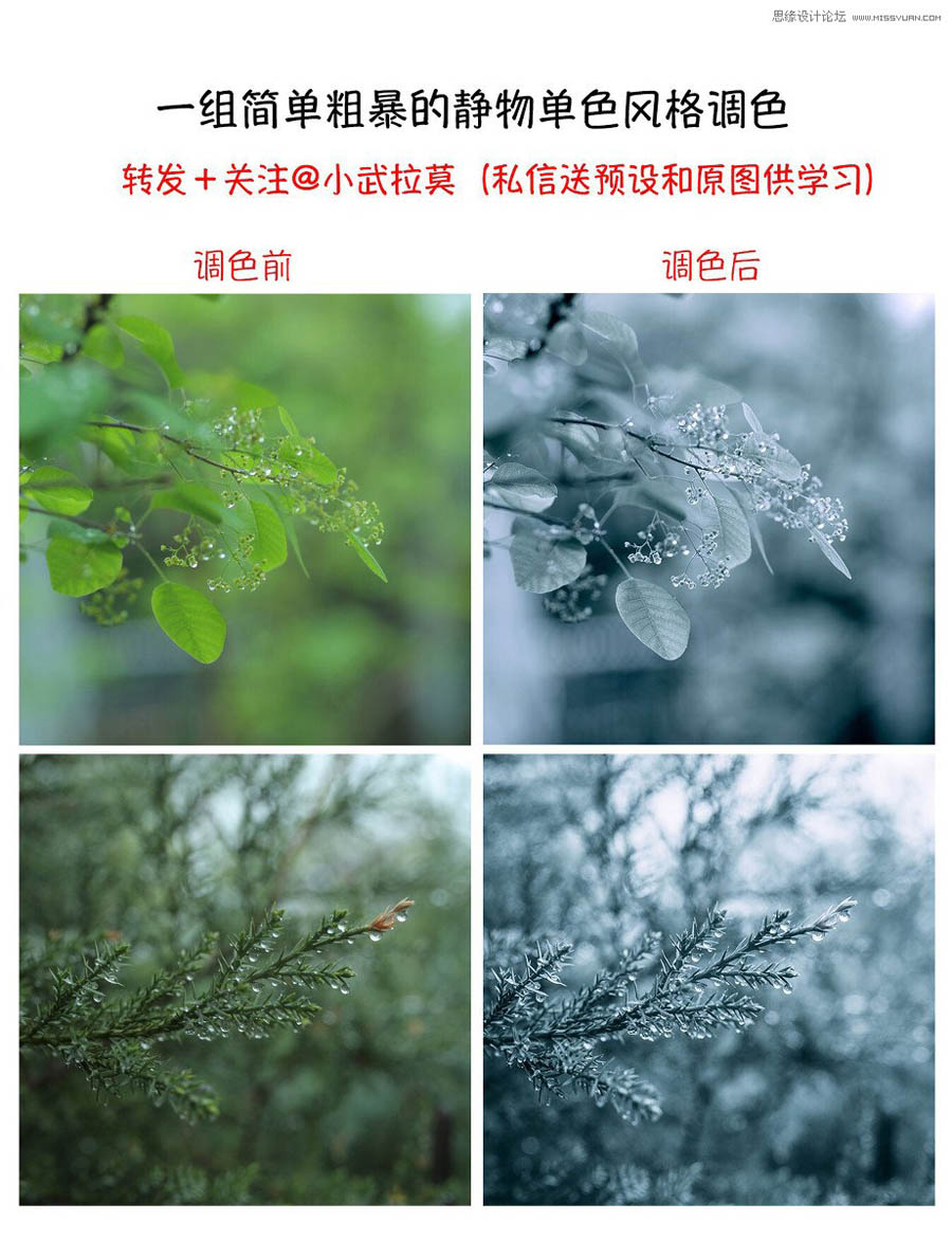 Photoshop�����{(di��o)��Ψ���L����{ɫˇ�g(sh��)Ч��