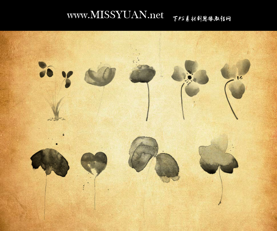 ˮ�����~�ݺ�ֲ��PS�Pˢ