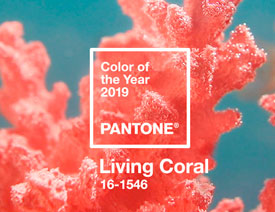 Ԕ��2019�������ɫ֮����ɺ����