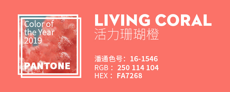 Ԕ��2019�������ɫ֮����ɺ����