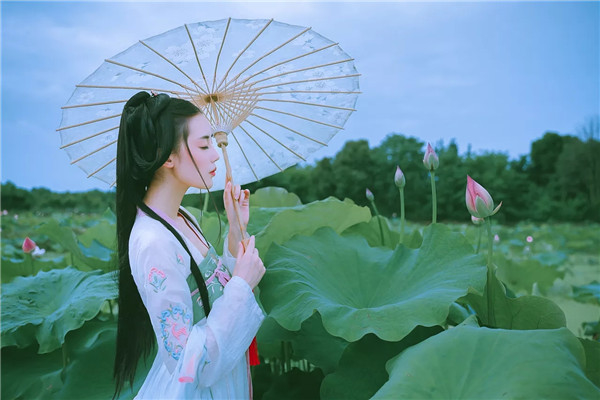 �Ї��L����ɫ�{�ŵ���������Ʒ