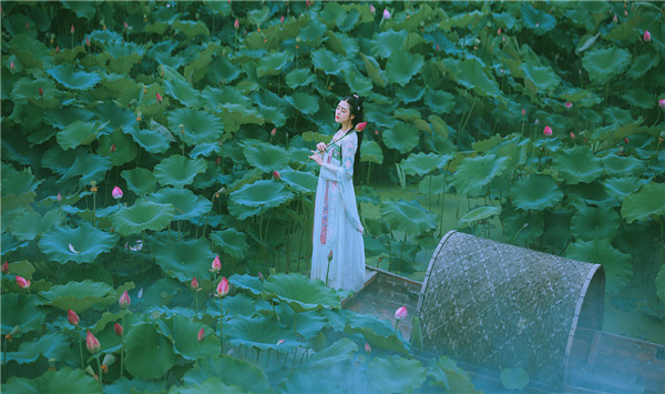 �Ї��L����ɫ�{�ŵ���������Ʒ