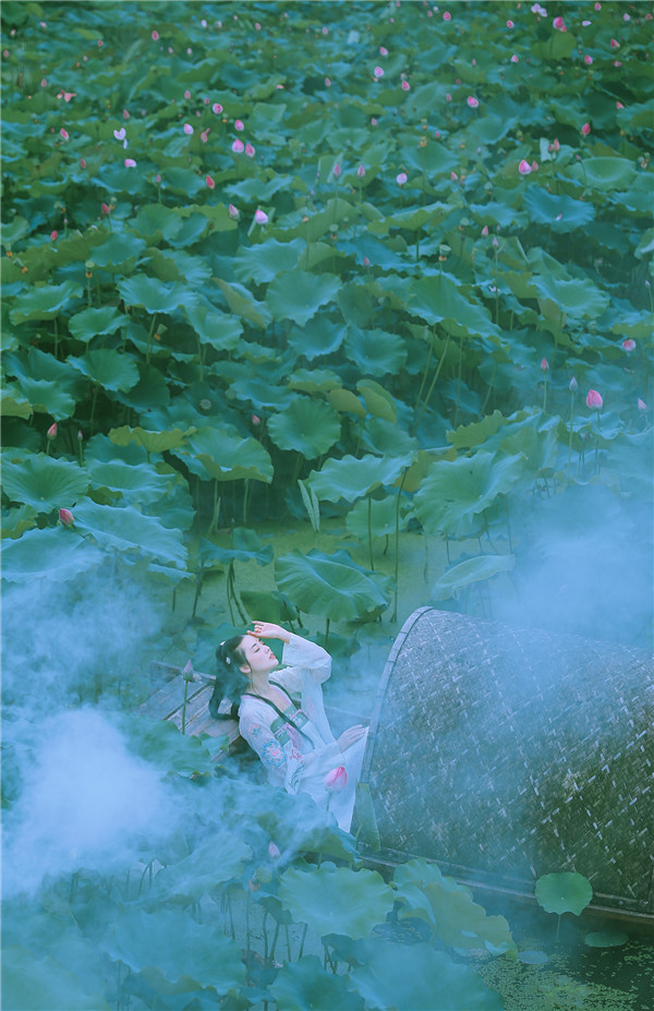 �Ї��L����ɫ�{�ŵ���������Ʒ