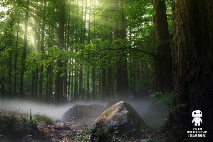 Ԕ�������ǳ�����PS���ɰ�ʹ�ü���