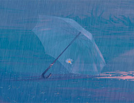 ����Ӯ���PS�������������GIF�Ӯ�