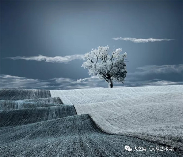 ���F(xi��n)�����x�L(f��ng)��Ą�(chu��ng)�������Ʒ���p