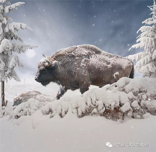 ���F�����x�L��Ą��������Ʒ���p