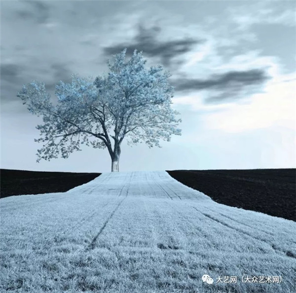 ���F(xi��n)�����x�L(f��ng)��Ą�(chu��ng)�������Ʒ���p