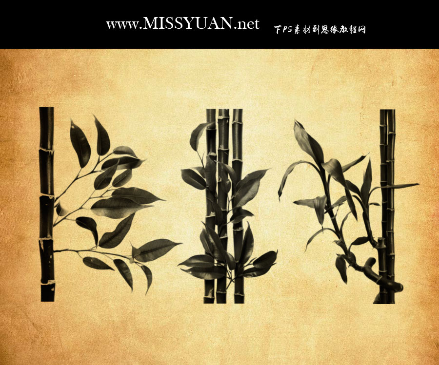 ���������Ӻ���(ji��)PS�Pˢ