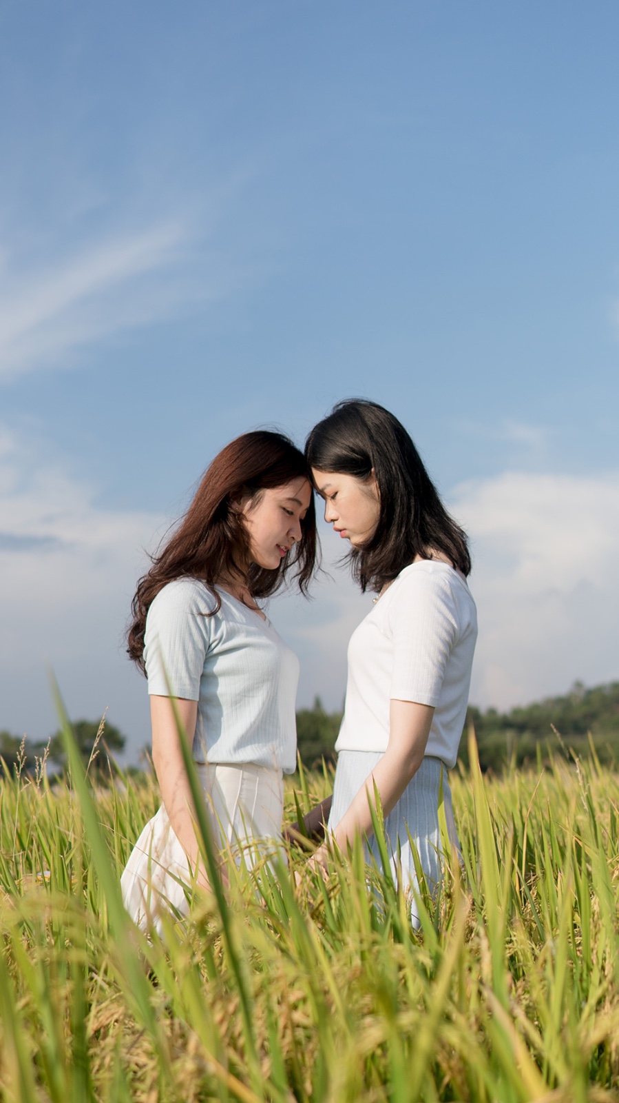 �zӰ�����x����Ĕz��(y��u)����|���p����