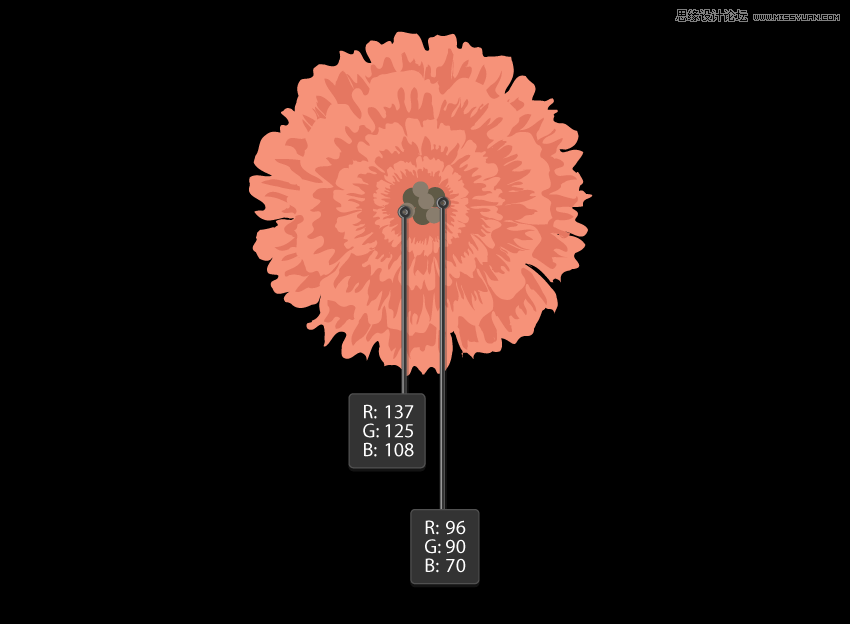 時尚船錨:AI繪制鮮花裝飾的船錨圖標