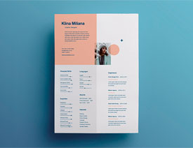 12�׺��s���Ă��˺��vģ�����d