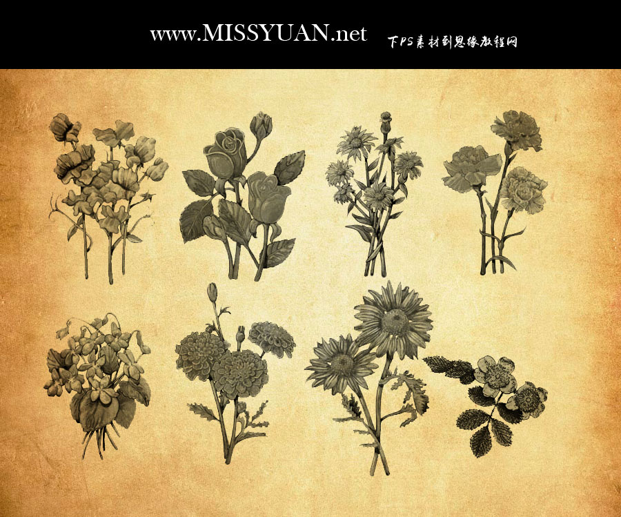 �Ꭷֲ���PS�Pˢ