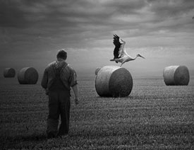 ���m���O(sh��)Ӌ�����F(xi��n)��ˇ�g(sh��)��Ʒ���p