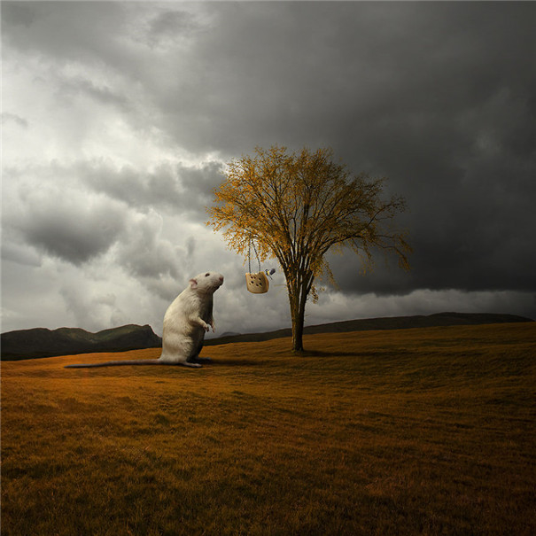 ���m���OӋ�����F��ˇ�g��Ʒ���p