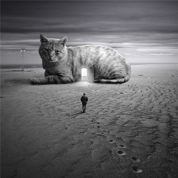 ���m���OӋ�����F��ˇ�g��Ʒ���p