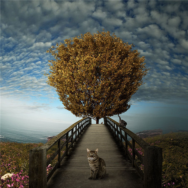 ���m���OӋ�����F��ˇ�g��Ʒ���p